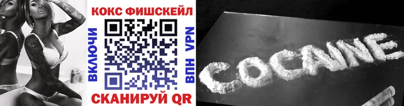 закладки  Яхрома  Cocaine FishScale 
