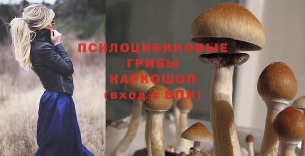 экстази Ладушкин