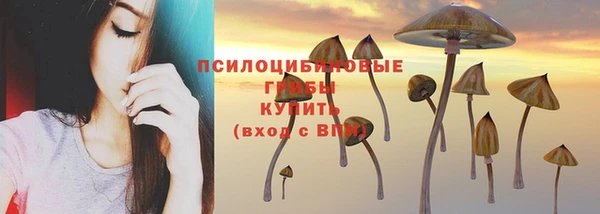 экстази Ладушкин