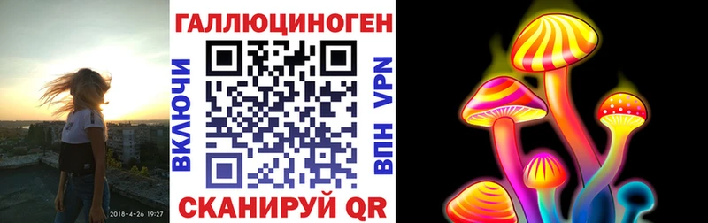 Псилоцибиновые грибы GOLDEN TEACHER  закладка  Яхрома 